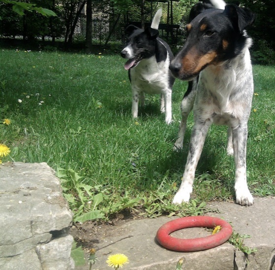 IMG-475492f0dbf878b6cf34b5879a339563-V